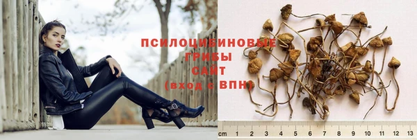 ешки Алексин