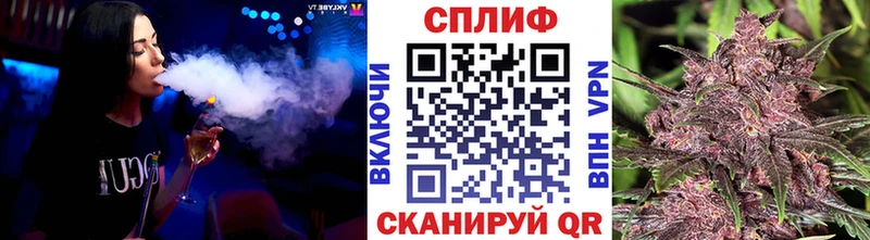 Канабис конопля Анапа
